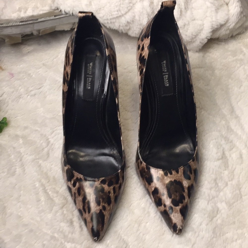LAST CHANCE!🌿{Wʜɪᴛᴇ Hᴏᴜsᴇ I Bʟᴀᴄᴋ Mᴀʀᴋᴇᴛ} Leopard - Picture 3 of 6